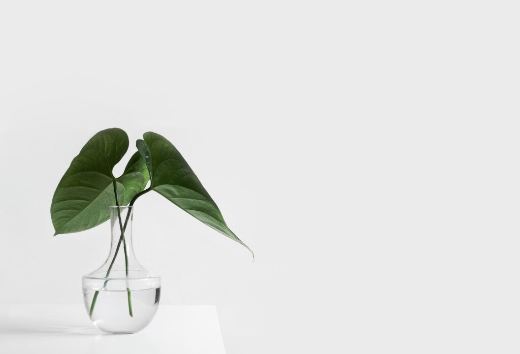 a small plant growing in a vase